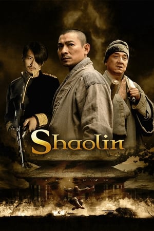 Shaolin (2011) Hindi Dual Audio 480p BluRay 400MB